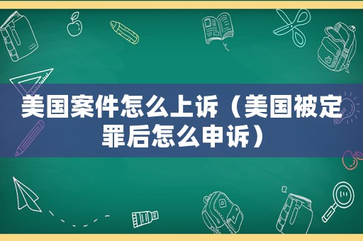 美國案件怎么上訴（美國被定罪后怎么申訴）