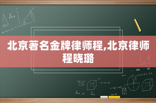 北京著名金牌律師程,北京律師程曉璐