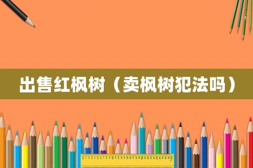 出售紅楓樹（賣楓樹犯法嗎）