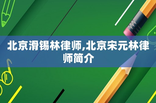 北京滑錫林律師,北京宋元林律師簡介
