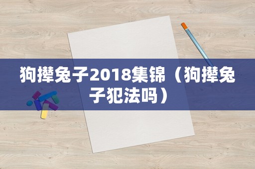 狗攆兔子2018集錦（狗攆兔子犯法嗎）