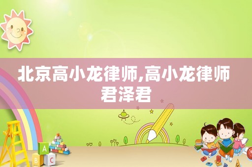 北京高小龍律師,高小龍律師 君澤君