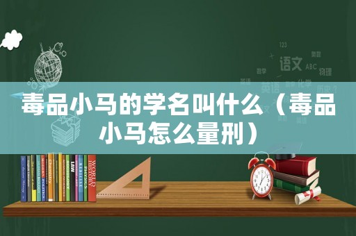 毒品小馬的學名叫什么（毒品小馬怎么量刑）