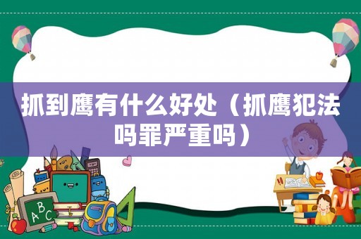 抓到鷹有什么好處（抓鷹犯法嗎罪嚴重嗎）
