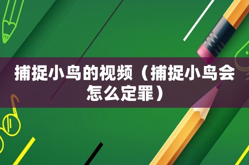 捕捉小鳥的視頻（捕捉小鳥會怎么定罪）