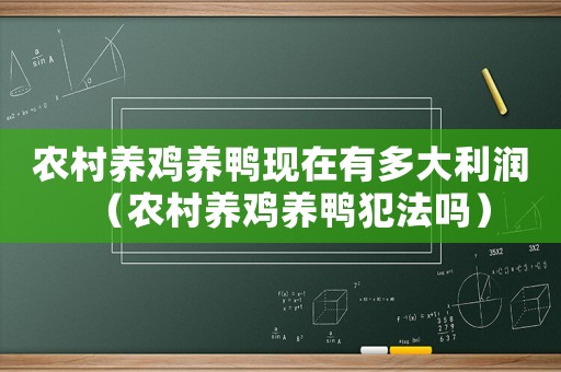 農(nóng)村養(yǎng)雞養(yǎng)鴨現(xiàn)在有多大利潤（農(nóng)村養(yǎng)雞養(yǎng)鴨犯法嗎）