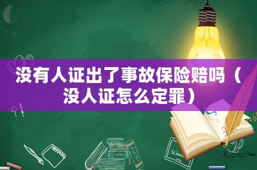 沒有人證出了事故保險賠嗎（沒人證怎么定罪）