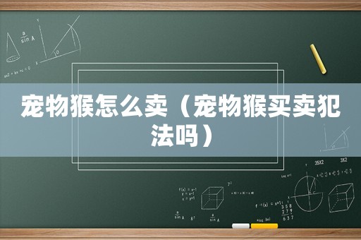 寵物猴怎么賣（寵物猴買賣犯法嗎）