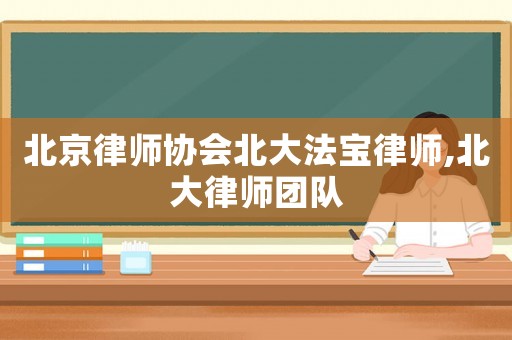 北京律師協會北大法寶律師,北大律師團隊