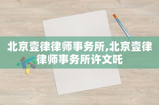 北京壹律律師事務(wù)所,北京壹律律師事務(wù)所許文吒