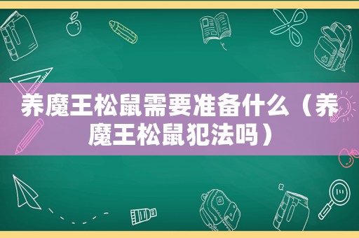 養(yǎng)魔王松鼠需要準(zhǔn)備什么（養(yǎng)魔王松鼠犯法嗎）