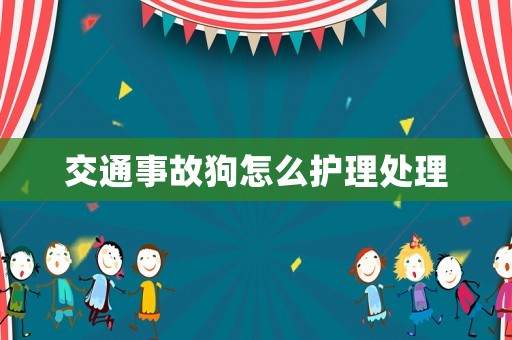 交通事故狗怎么護理處理