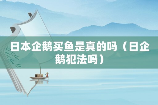 日本企鵝買魚是真的嗎（日企鵝犯法嗎）