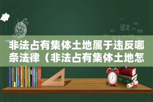 非法占有集體土地屬于違反哪條法律（非法占有集體土地怎么定罪）