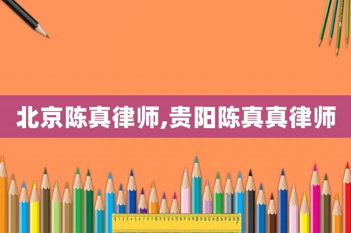 北京陳真律師,貴陽陳真真律師