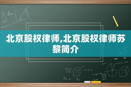 北京股權律師,北京股權律師蘇黎簡介