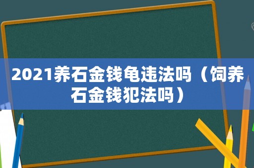 2021養石金錢龜違法嗎（飼養石金錢犯法嗎）
