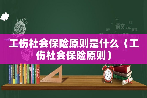 工傷社會保險原則是什么（工傷社會保險原則）