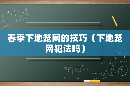 春季下地籠網的技巧（下地籠網犯法嗎）