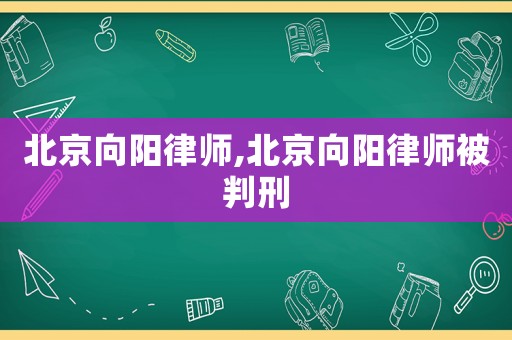 北京向陽律師,北京向陽律師被判刑