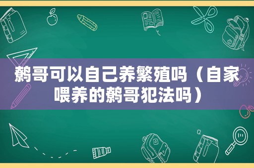鷯哥可以自己養(yǎng)繁殖嗎（自家喂養(yǎng)的鷯哥犯法嗎）