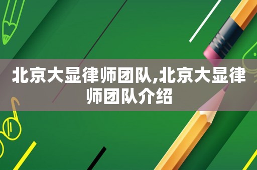 北京大顯律師團隊,北京大顯律師團隊介紹