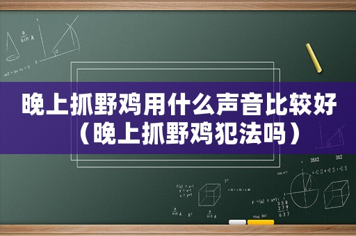晚上抓野雞用什么聲音比較好（晚上抓野雞犯法嗎）