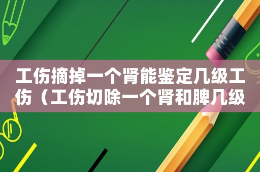 工傷摘掉一個腎能鑒定幾級工傷（工傷切除一個腎和脾幾級殘）