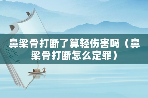 鼻梁骨打斷了算輕傷害嗎（鼻梁骨打斷怎么定罪）