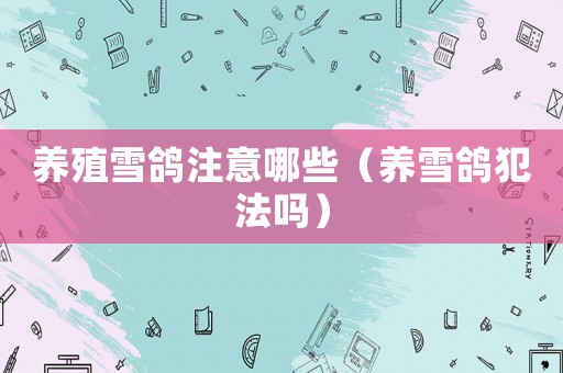養(yǎng)殖雪鴿注意哪些（養(yǎng)雪鴿犯法嗎）
