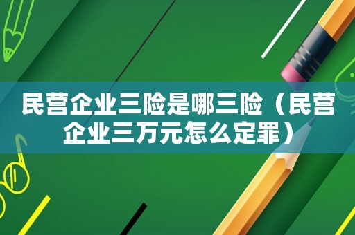 民營企業三險是哪三險（民營企業三萬元怎么定罪）