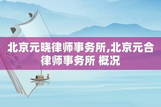 北京元曉律師事務所,北京元合律師事務所 概況