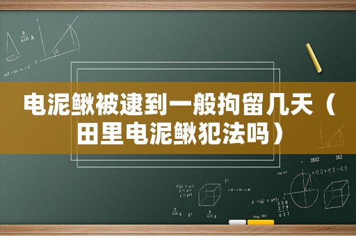 電泥鰍被逮到一般拘留幾天（田里電泥鰍犯法嗎）