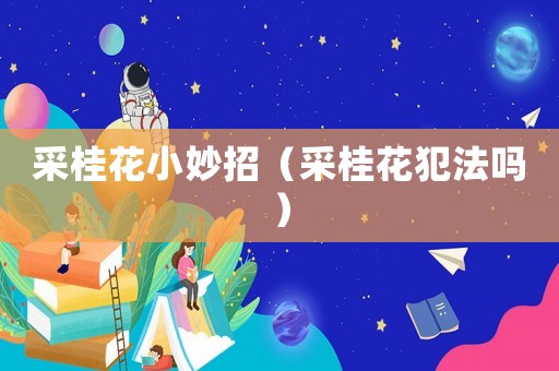 采桂花小妙招（采桂花犯法嗎）