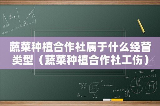 蔬菜種植合作社屬于什么經營類型（蔬菜種植合作社工傷）