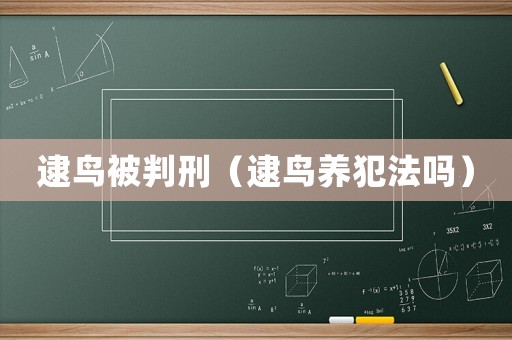 逮鳥被判刑（逮鳥養犯法嗎）