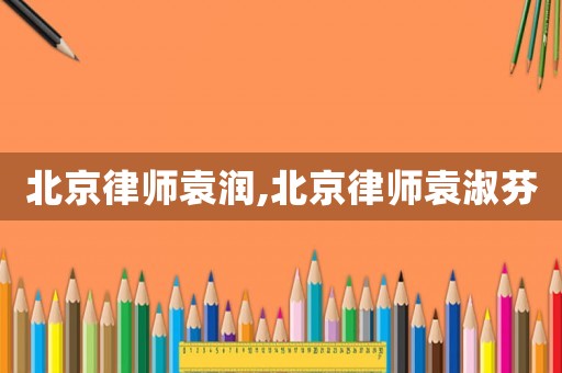 北京律師袁潤,北京律師袁淑芬