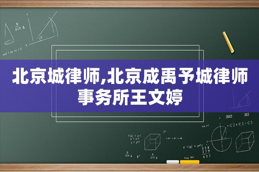 北京城律師,北京成禹予城律師事務所王文婷