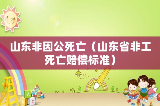 山東非因公死亡（山東省非工死亡賠償標準）