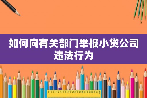 如何向有關部門舉報小貸公司違法行為