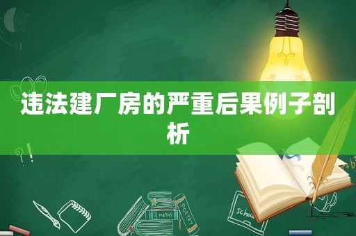 違法建廠房的嚴重后果例子剖析