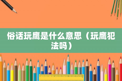 俗話玩鷹是什么意思（玩鷹犯法嗎）