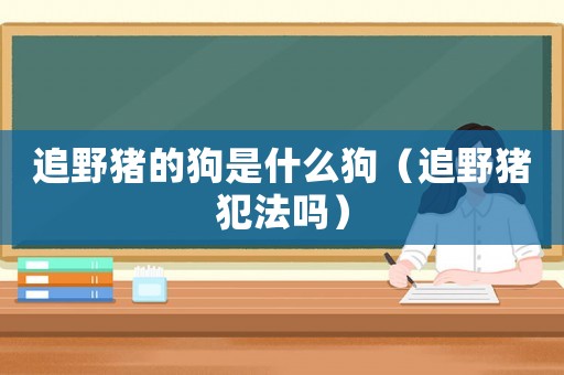 追野豬的狗是什么狗（追野豬犯法嗎）