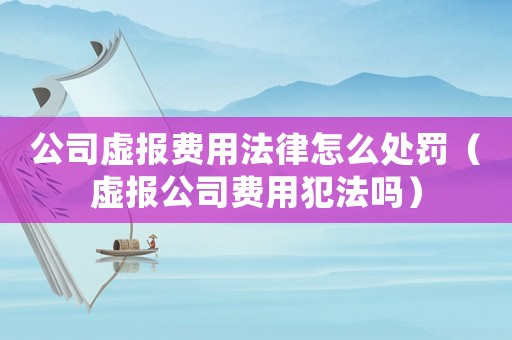 公司虛報費用法律怎么處罰（虛報公司費用犯法嗎）