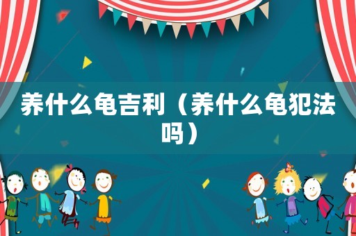 養什么龜吉利（養什么龜犯法嗎）