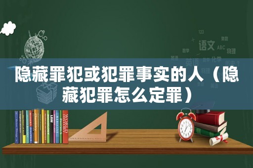 隱藏罪犯或犯罪事實的人（隱藏犯罪怎么定罪）