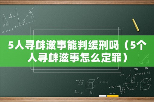 5人尋釁滋事能判緩刑嗎（5個人尋釁滋事怎么定罪）