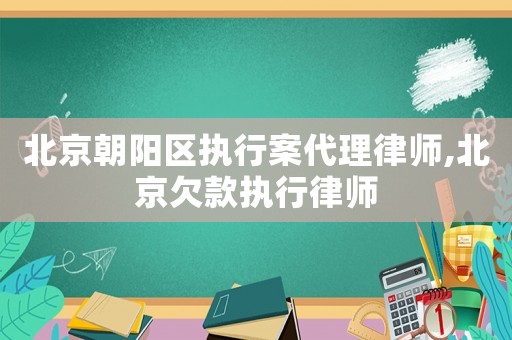 北京朝陽區(qū)執(zhí)行案代理律師,北京欠款執(zhí)行律師