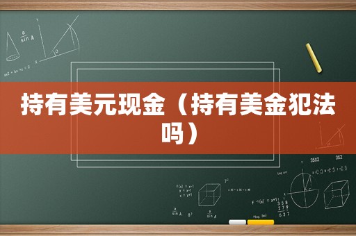 持有美元現(xiàn)金（持有美金犯法嗎）