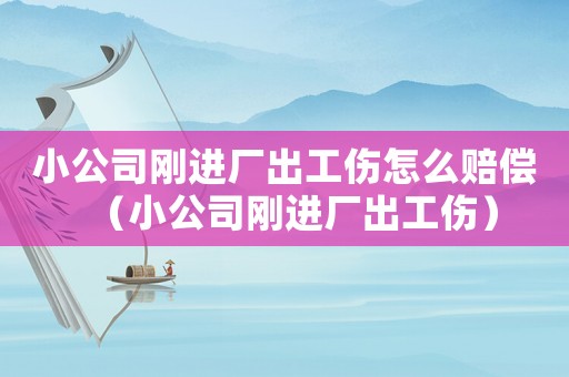 小公司剛進廠出工傷怎么賠償（小公司剛進廠出工傷）